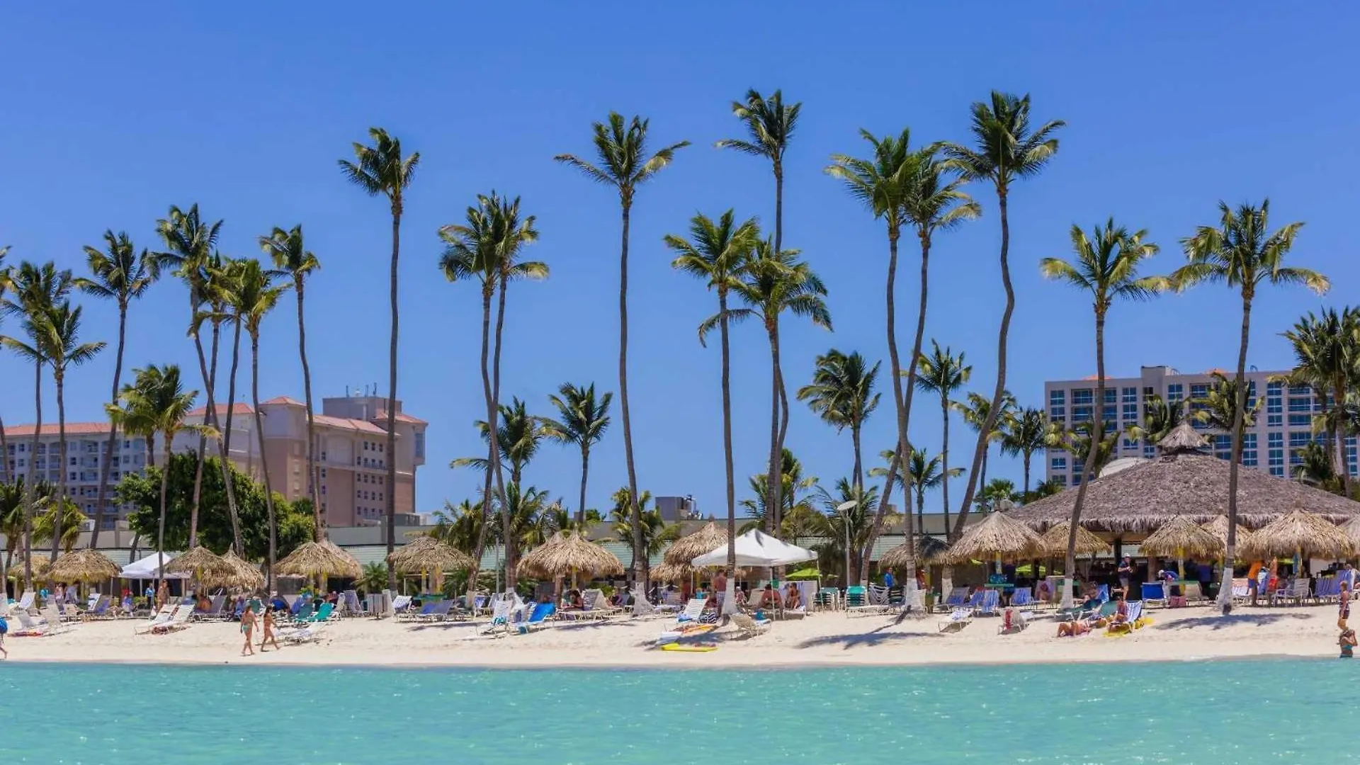 Holiday home Pc412 - Pool View - 1Br Perfect For A Couple Or Family - Close To Palm Beach - 1Br