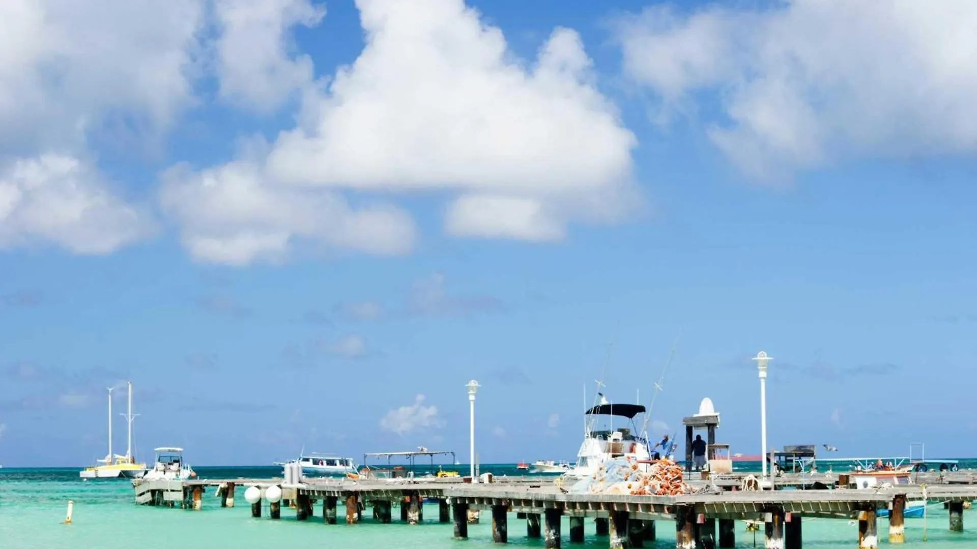 Pc412 - Pool View - 1Br Perfect For A Couple Or Family - Close To Palm Beach - 1Br 0*,  Aruba