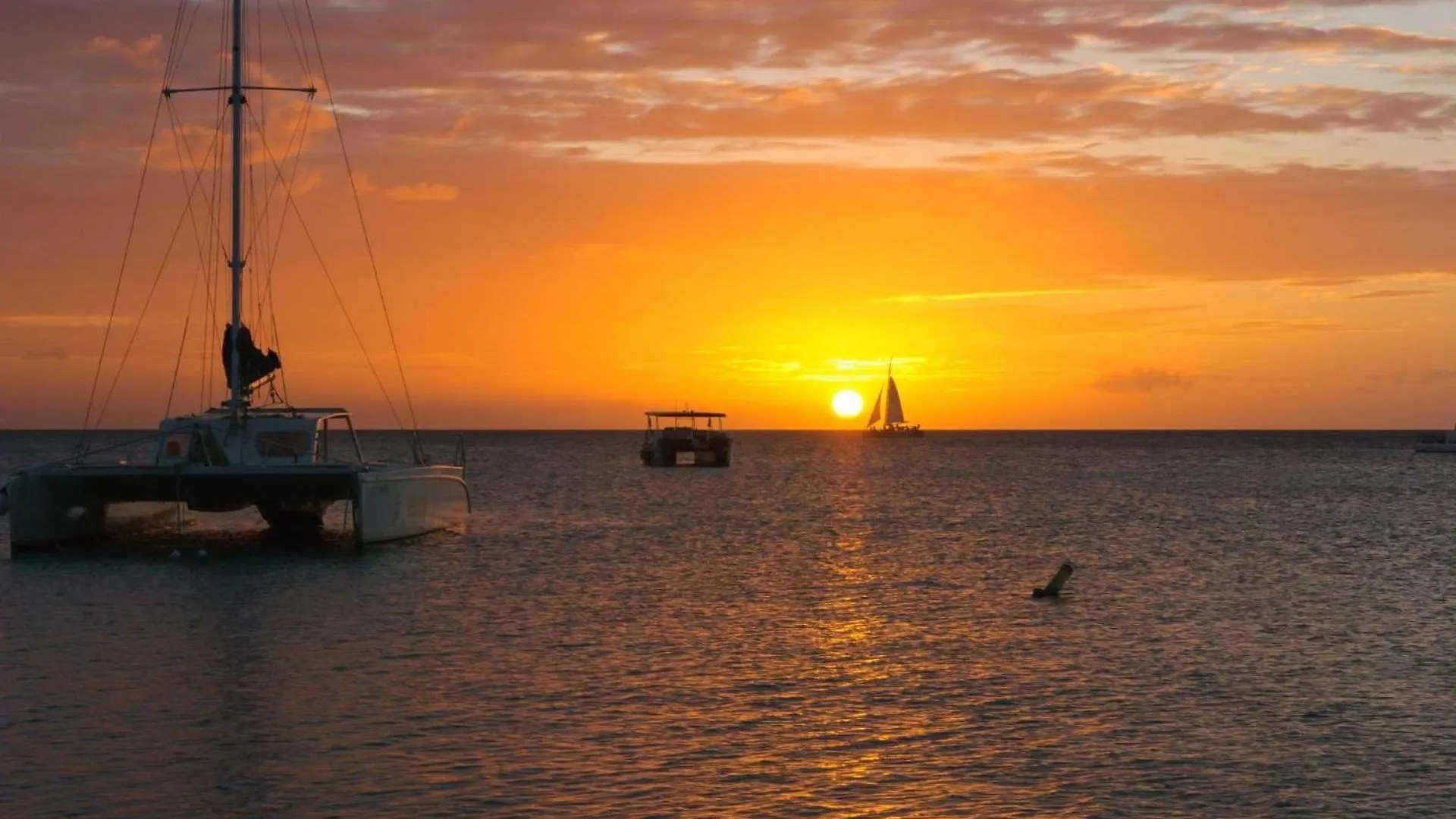 Tatil Evi Pc412 - Pool View - 1Br Perfect For A Couple Or Family - Close To Palm Beach - 1Br Aruba