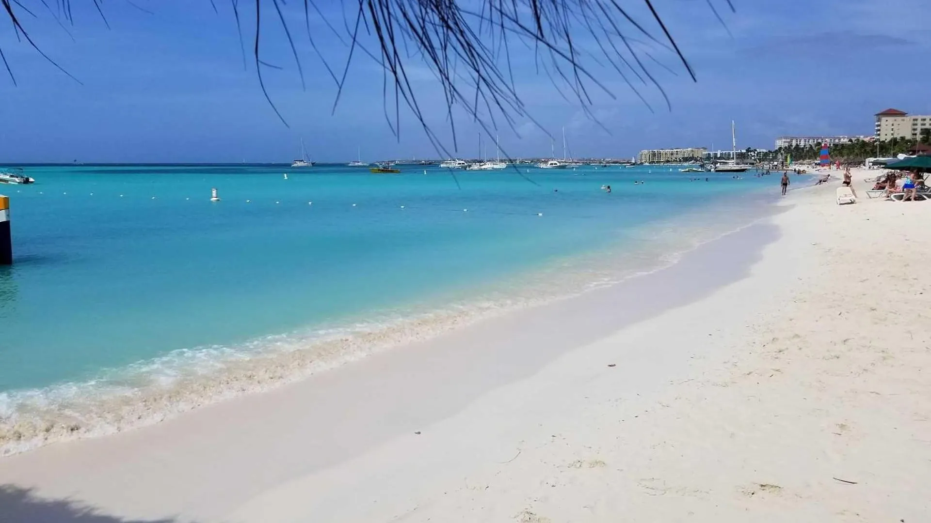 Pc412 - Pool View - 1Br Perfect For A Couple Or Family - Close To Palm Beach - 1Br 0*,  Aruba